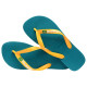 Havaianas Brasil Logo Havaianas Brasil Logo